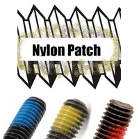 PATCH SCREWS